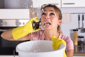  water damage company tampa